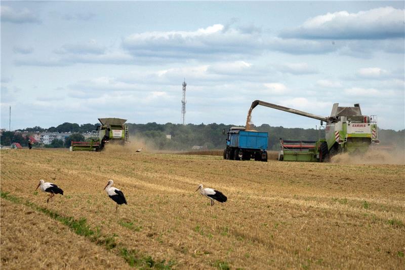 Russland stoppt Getreideabkommen mit Ukraine Russland hat das Abkommen zur Verschiffung von ukrainischem Getreide über das Schwarze Meer gestoppt.