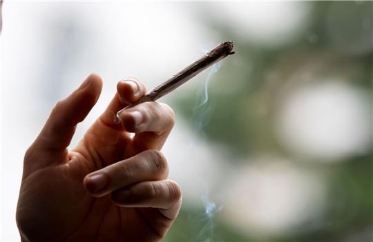 SPD, Grüne und FDP wollen eine kontrollierte Abgabe von Cannabis an Erwachsene zu Genusszwecken in lizenzierten Geschäften einführen.