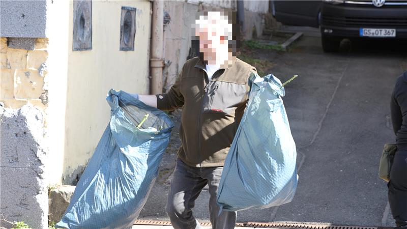 Säckeweise holen am Freitag Polizeibeamte die Cannabis-Pflanzen aus dem Haus.