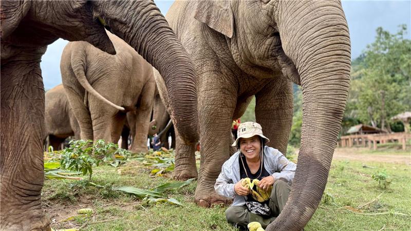 Saengduean „Lek“ Chailert verbringt täglich viel Zeit mit ihren Elefanten. 