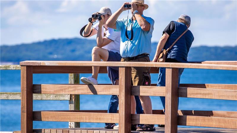 Bilder des Tages SailGP auf der Ostsee: Zuschauer beobachten Segelvorbereitungen bei Sommerwetter