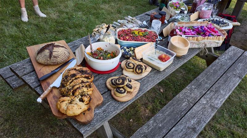 Brennnesseln statt Chia: Kräuterwanderung zur Heideblüte Salat- und Kräuterbuffet bei Wanderung nach Wilsede.