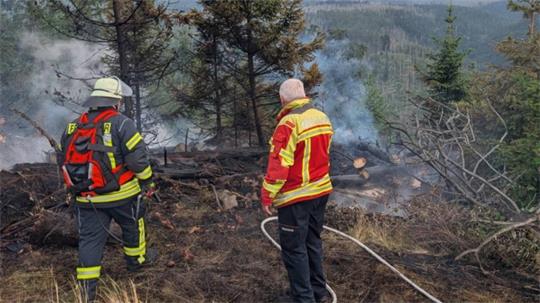 Zwei Feuerwehrmänner stehen am betroffenen Waldgebiet, im Hintergrund ist viel grauer Rauch zu sehen