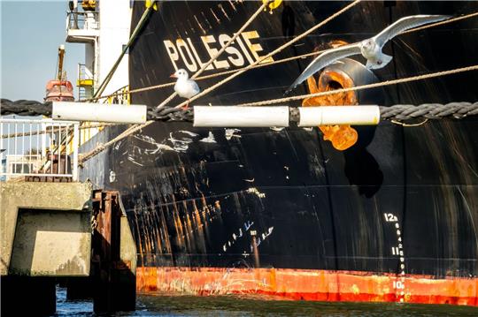 Schäden am Frachtschiff «Polesie» nach dem Zusammenstoß mit dem Frachter «Verity».