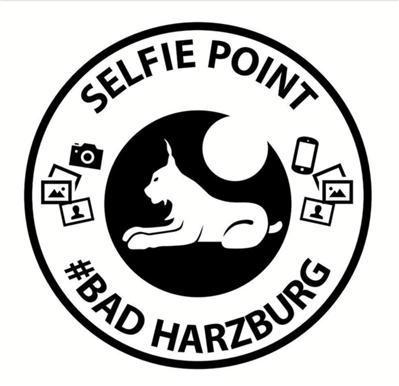 Bad Harzburg bekommt eine Selfie-Schaukel Schaukel Kurpark Selfie Point Bad Harzburg Dehoga