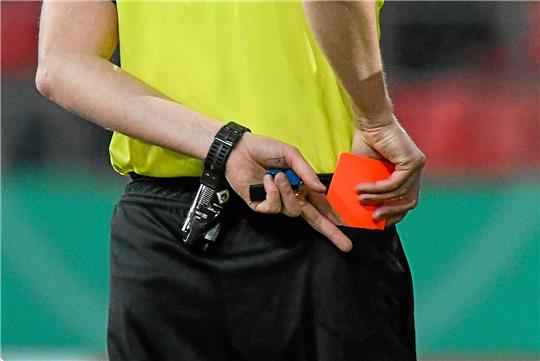 Schiedsrichterbeleidigung kann auch geahndet werden, wenn der wütende Spieler nur Zuschauer ist. 
