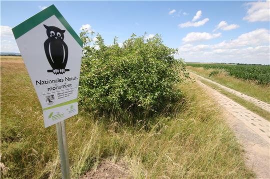 Schilder mit der Waldohreule weisen jetzt im Nordharz auf das Nationale Naturmonument „Grünes Band Sachsen-Anhalt – Vom Todesstreifen zur Lebenslinie“ hin – so wie hier an einem ehemaligen Kolonnenweg der DDR-Grenzanlagen. Foto: Gereke
