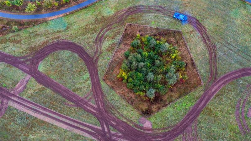 Schlangenlinien für besseren Artenschutz: Mit einem Bergepanzer wird am Stadtrand von Schwerin eine Natur-Ausgleichsfläche für die Ansiedlung von Reptilien vorbereitet.