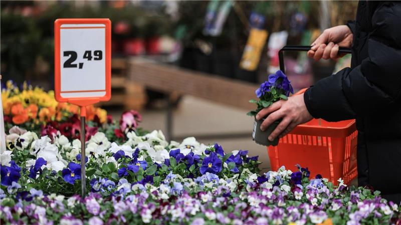 Wetter verdirbt Garten-Lust - schwieriges Jahr für Baumärkte Schlechtes Wetter im Mai und Juni verhagelte den Händlern 2024 das Geschäft.