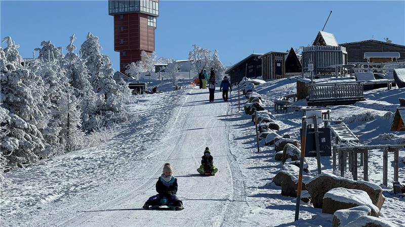 Schlittenfahren ist beliebt. Die Wurmbergseilbahn-Gesellschaft will diesbezüglich mehr Angebote schaffen.
