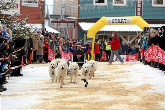 Schlittenhunderennen am Wochenende in der Westernstadt Pullman City bei Hasselfelde.  Foto: Neuendorf