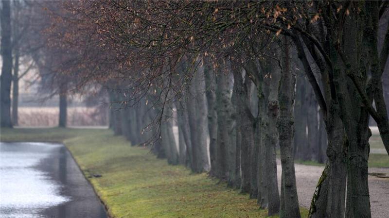 Schlossgarten von Schwerin. Trübes-nebeliges Wetter erwartet die Menschen aus Mecklenburg-Vorpommern. (Symbolbild)