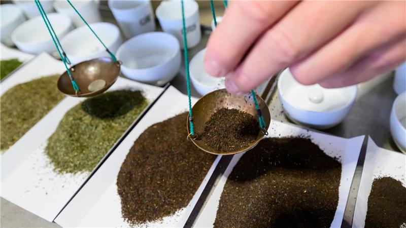 Teetester mit Leidenschaft und ausgeprägtem Geschmackssinn Schmeckt eine Probe nach Schimmel oder Rauch, wird sie sofort aussortiert.