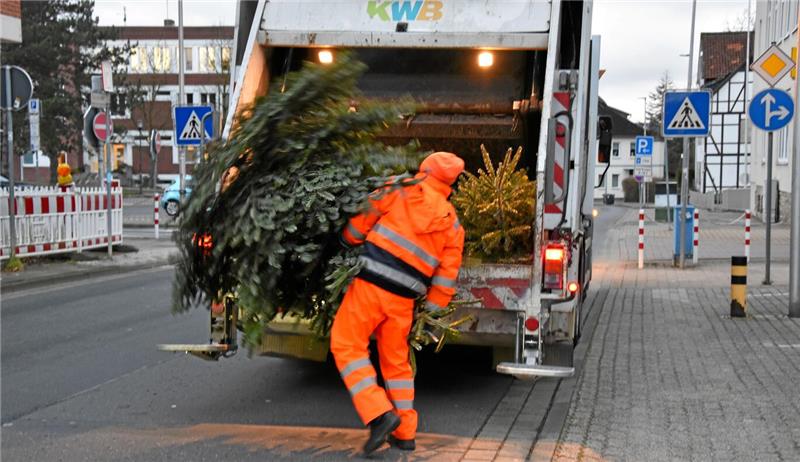 Kreiswirtschaftsbetriebe starten Sammlung von Weihnachtsbäumen Schmuckloses Ende: Die Kreiswirtschaftsbetriebe sammeln die Weihnachtsbäume in Sperrmüllfahrzeugen. Die ersten Touren beginnen am Montag.