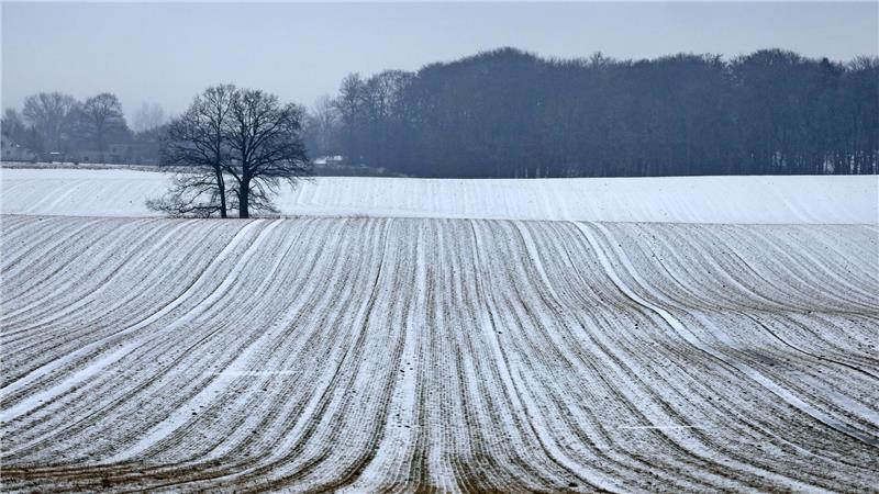 Schnee bis in die Niederungen ist am Samstag für die Mitte und den Süden vorhergesagt.