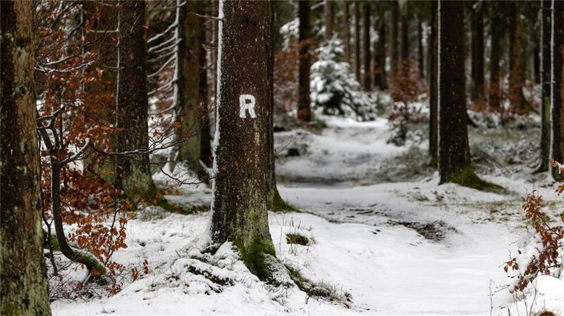 Tief „Quiteria“ bringt Sturmböen und Schnee Schneefälle haben den Rennsteig im Thüringer Wald in eine Winterlandschaft verwandelt.