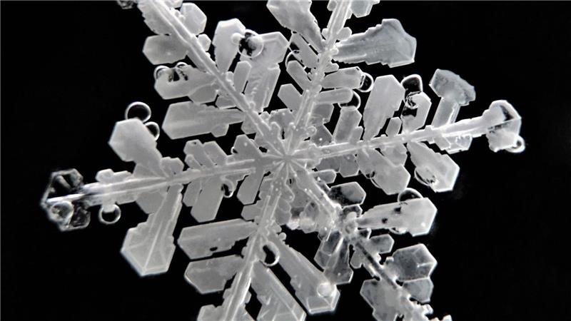 Schneeflocken haben sehr feine Strukturen.