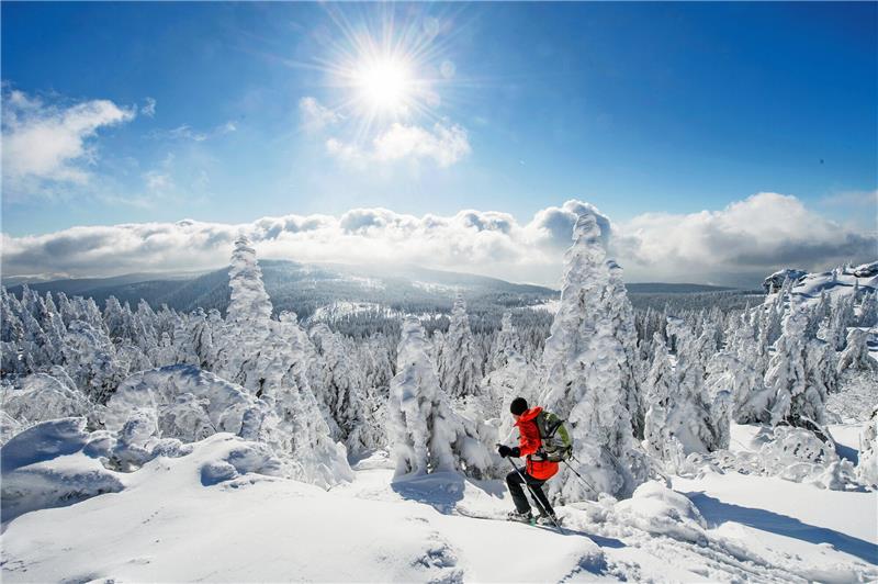 Schneezauber am Großen Arber: Im Vergleich zu den Skigebieten im Ausland kann man in Bayerns Bergen noch günstig Urlaub machen. Foto: dpa