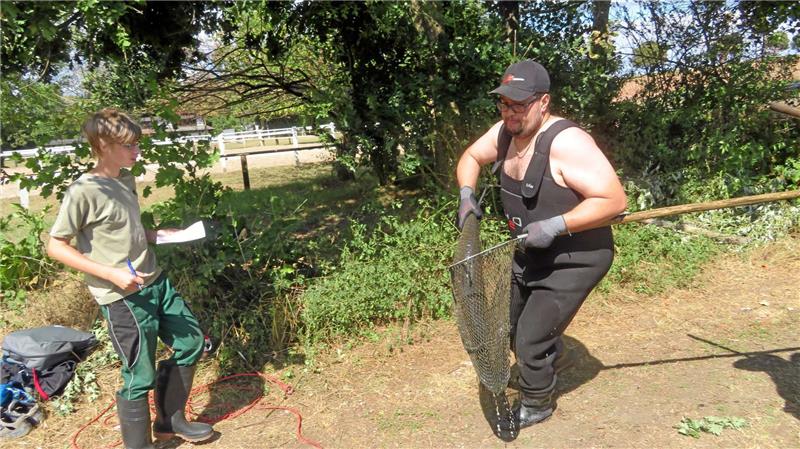 Schnell sein heißt es beim Retten der Fische aus dem Weidenteich.