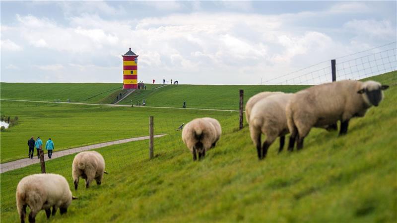 Schöne Deiche hat Niedersachsen zu bieten – aber was ist mit der Wirtschaft, fragt die CDU? (Symbolbild)