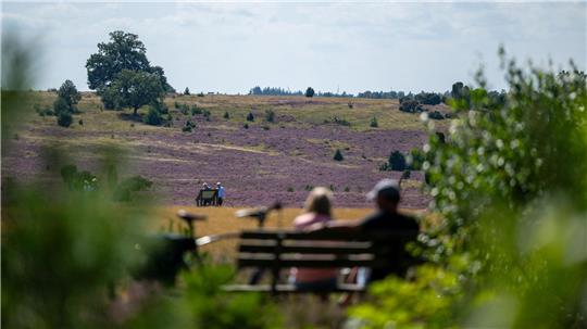Schöne Landschaften wie die Lüneburger Heide prägen Niedersachsens Wahrnehmung – wirtschaftlich sieht das Bild dagegen durchwachsen aus. (Archivbild)