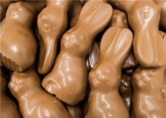 Schokoladen-Hasen liegen in einer Box - bereit, an Ostern versteckt zu werden.