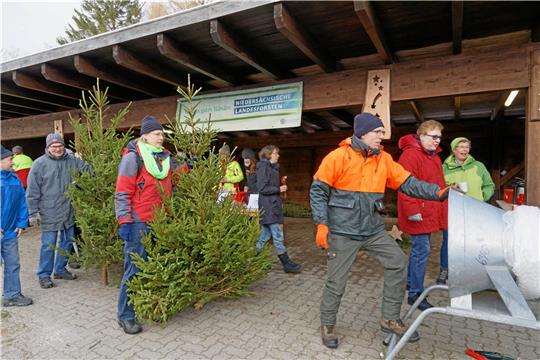 Schon 2019 findet ein Weihnachtsbaum-Verkauf am Forstamt Clausthal statt. Foto: GZ-Archiv