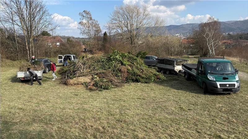 Schon am ersten Anlieferungstag ist der Andrang groß.