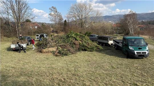 Schon am ersten Anlieferungstag ist der Andrang groß.