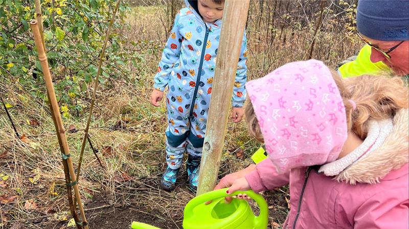 Helferinnen und Helfer bringen Setzlinge bei Braunlage in die Erde Schon früh beschäftigen sich auch die Mädchen und Jungen des Kindergartens mit dem Pflanzen von Bäumen. Sie werden dabei aber von Erwachsenen unterstützt.