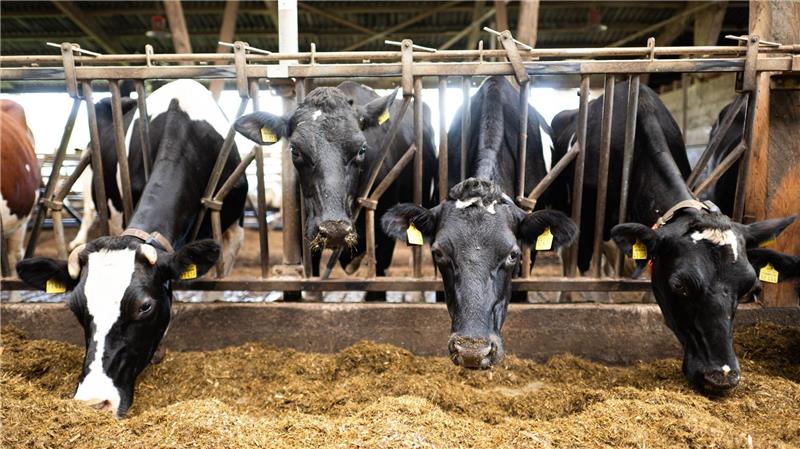 Schon im vergangenen Jahr waren nach Bauernprotesten in der EU Erleichterungen für Landwirte beschlossen worden. (Archivfoto)