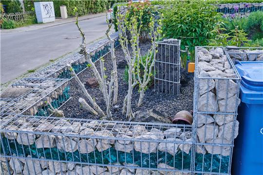 Schottergärten sind in Deutschland verboten. Annett Jerke gibt Tipps, wie es Gartenbesitzer besser machen können. Foto: Riedl/dpa