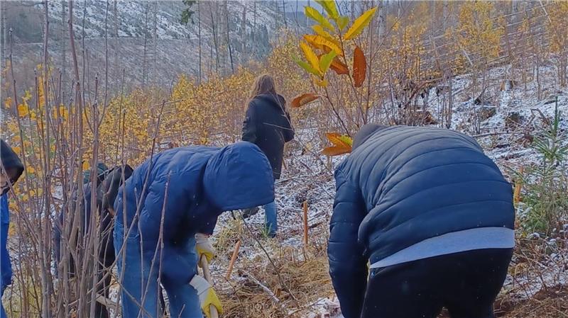 Mehrere Personen in Winterjacken arbeiten in einem kahlen, hügeligen Gelände. Zu sehen sind herbstliche Bäume und Sträucher, zumeist kahl, mit vereinzelten gelben Blättern.