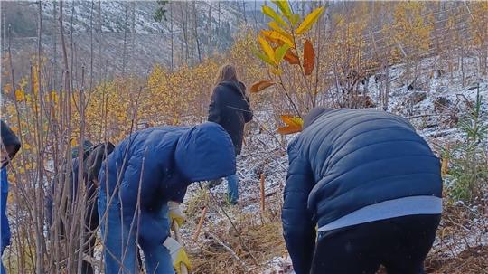 Mehrere Personen in Winterjacken arbeiten in einem kahlen, hügeligen Gelände. Zu sehen sind herbstliche Bäume und Sträucher, zumeist kahl, mit vereinzelten gelben Blättern.