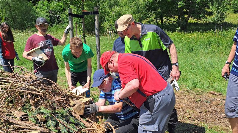 Bieten Schutz und Nahrung: Totholzhecken in Wolfshagen gepflanzt Schüler und Freiwillige setzen die Totholzhecke in Wolfshagen und platzieren noch einige Gartenschläfer-Nisthilfen.