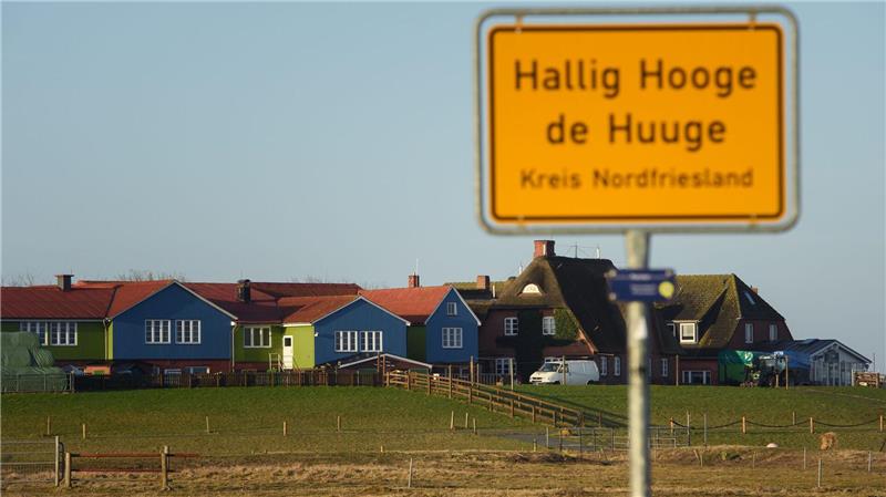 Noch keine Angst auf Hallig Hooge Schutz gegen die Nordsee bieten Warften, auf denen die Hallighäuser stehen.