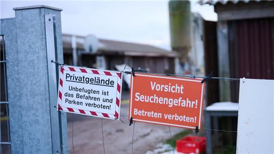 Schutzmaßnahmen sind angelaufen nach dem Ausbruch der Maul- und Klauenseuche.