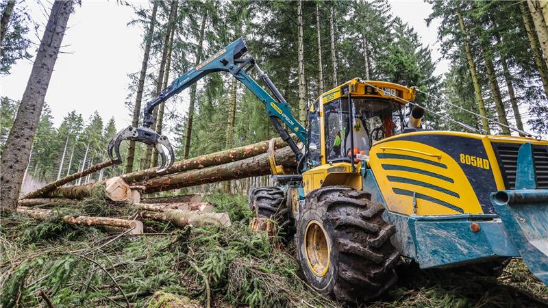 Schweres Gerät zieht die Bäume aus dem Wald.