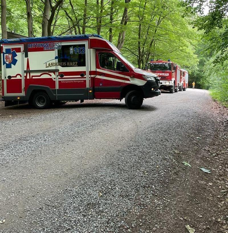 Ilsenburg: Wanderin durch umgestürzten Baum schwer verletzt Schwierige Bergung: Die verletzte Frau musste von den Rettungskräften rund 500 Meter durch den Wald getragen werden. Foto: Feuerwehr