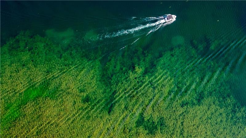 Bilder des Tages See von Oben - Sommer auf dem Geistalsee