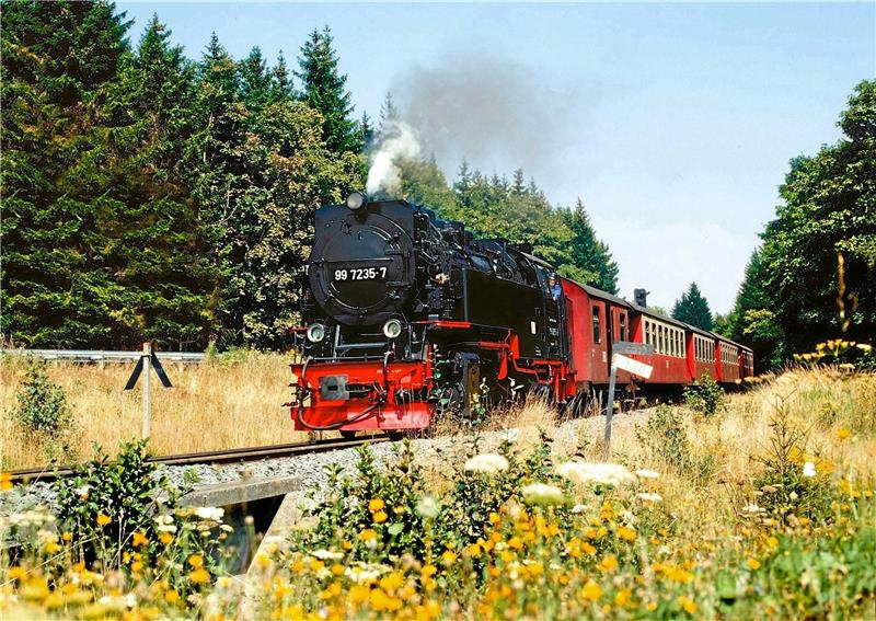 Schweizer engagiert sich für Bahnanschluss Braunlages Sehr zur Freude des Schweizer Urlaubers Daniel Würgler prüft die HSB gerade den Anschluss Braunlages ans Bahnnetz. Foto: GZ-Archiv