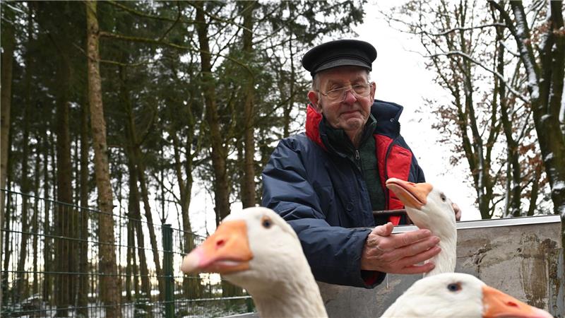 Seine drei Gänse Paul, Pauline und Wilma will Ludwig Smidt regelmäßig im Tierpark besuchen.