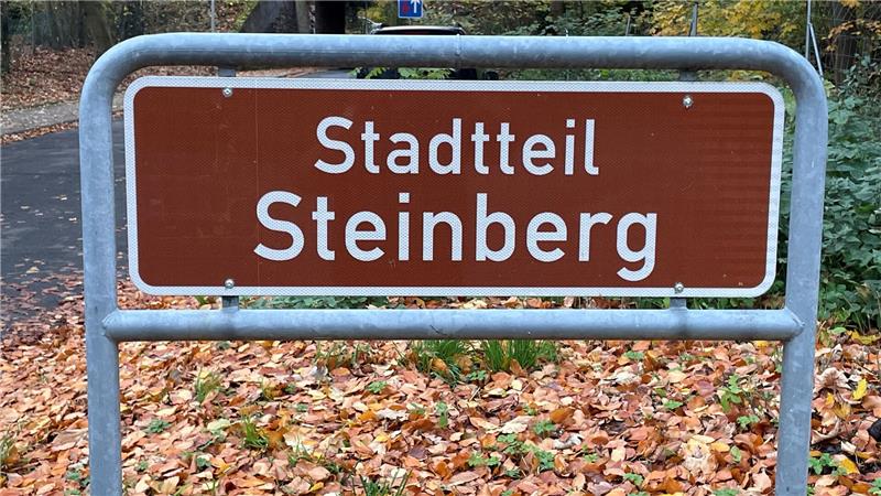 Braunes Ortsschild mit weißer Schrift 'Stadtteil Steinberg' vor herbstlichem Laub auf dem Boden und Wald im Hintergrund