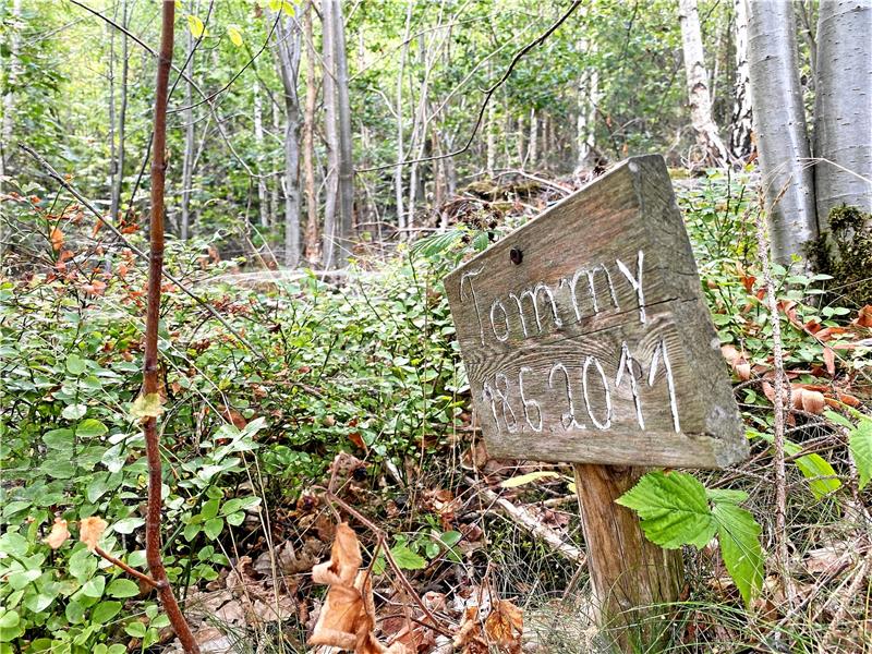 Seit 2007 werden Tiere im Abschiedswald beerdigt. Mittlerweile, mehr als zehn Jahre später, ist dort ein Urwald entstanden. Manche Grabstellen sieht man noch, andere nicht.  Fotos: Schlegel