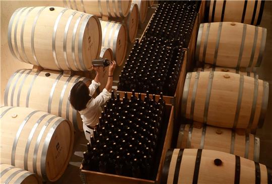 Seit Anfang 2023 wurden mehr als 105 Millionen Euro an EU-Geldern für die sogenannte Krisendestillation von europäischem Wein gezahlt.