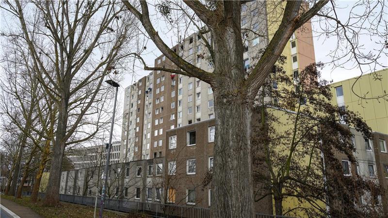 Seit Anfang Dezember laufen laut dem neuen Eigentümer Aufräumarbeiten. (Archvbild)