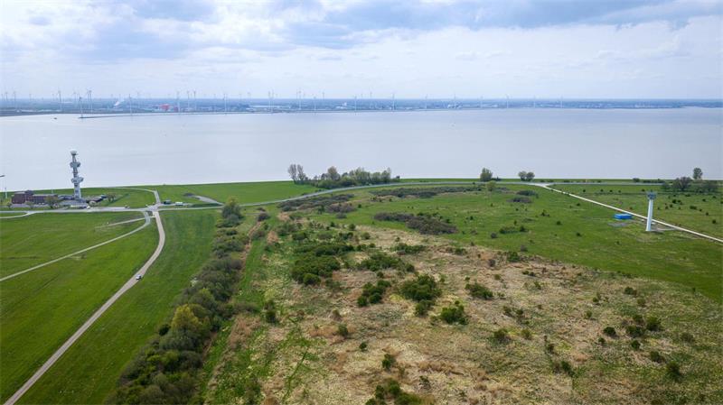 Milliarden für Bremerhaven – Marinehafen in Emden geplant Seit Jahren gibt es Überlegungen von Stadt und Land, wie der Rysumer Nacken zur Entwicklung des Hafens genutzt werden kann. (Archivbild)