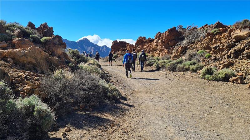 Seit Sommer 2022 wurde ein junger Backpacker aus Niedersachsen auf Teneriffa vermisst, der dort zum Wandern war - nun wurde sein Tod bestätigt. (Symbolbild)
