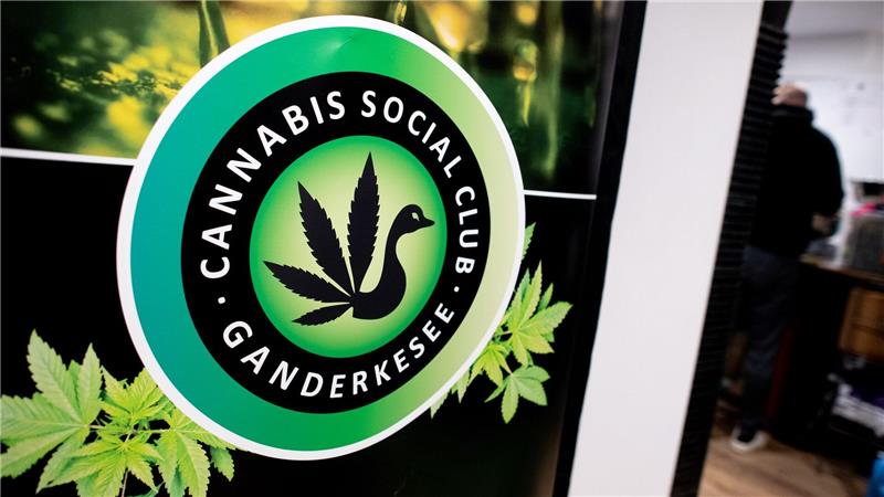Cannabis-Anbauverein hat lange Warteliste Seit dem 1. April 2024 ist der Cannabis-Konsum in Deutschland legal.