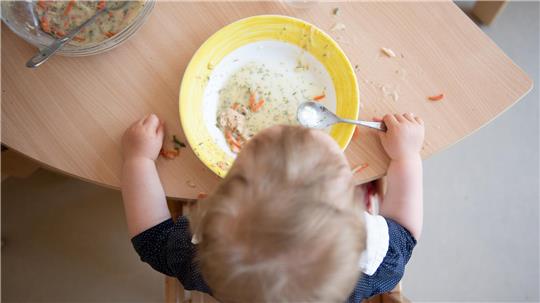 Seit dem 1. August 2024 beliefert der aktuelle Caterer die städtischen Kitas – jetzt soll neu ausgeschrieben werden.